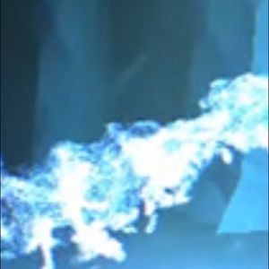 Meet your Posher, Jocelyn